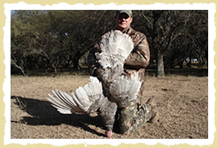 Jeff, wild turkey hunting in Argentina